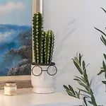 Hanna's Oasis Apartment *